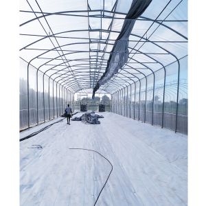 7.5M Height Single Span Greenhouse 300sqm Customized Tropical Green House