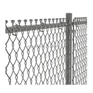 Fencing 9 Gauge Chain Link Wire Mesh Fence with 1 Inch Removable Design and Best