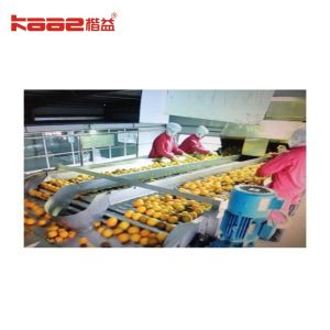 Wholesale Sorting Roller Conveyor Automatic Apple Grading Machine Roller Sorting Machine from china suppliers
