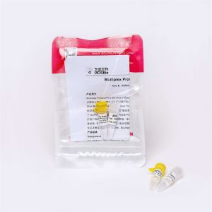 P2701-3 Concentrated Premix Multiplex Probe 2× QPCR Real Time PCR Master Mix