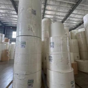 PE Coated Paper Roll for Disposable Paper Cups Factory