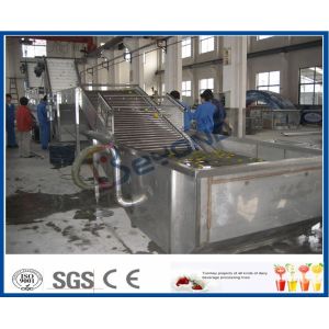 Surfing Type Fruit And Vegetable Washer Machine / Fruit And Vegetable Cleaning