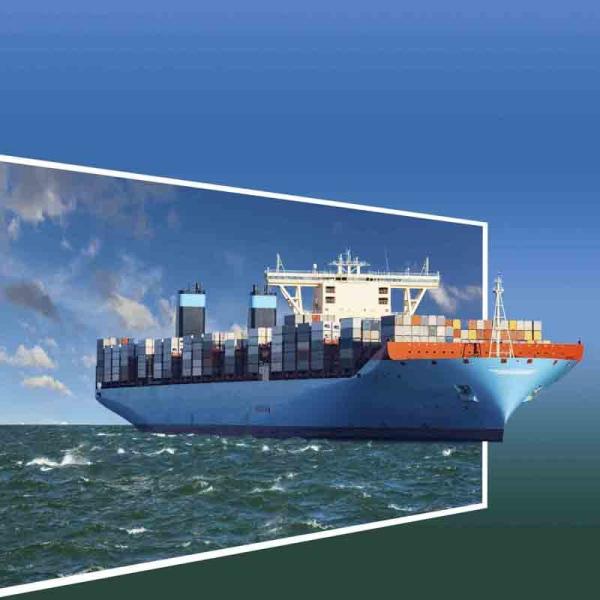 Quality FOB Trading Term Sea Freight Full Container 20FT 40HC from to Belgium Brussels Antwerp Zeebrugge with Freight Forwarder for sale