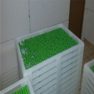 Food Grade Metal / Plastic Drying Trays For Drying Capsule Candy