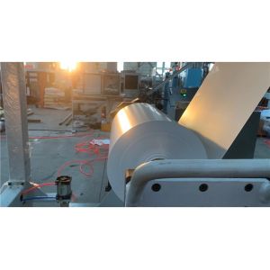 PLA Single Layer Sheet Production Line For Thermoforming Plastic Sheet Extruder