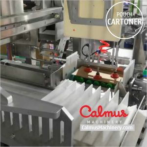 Doypack Pouch Sorter and Case Packer System