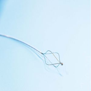 Wholesale Flexible Basket Like Stone Basket Extraction Retrieval Removal Tool from china suppliers