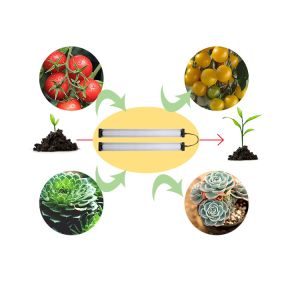 4 Foot T5 Grow Lights , Full Spectrum Grow Light Bulbs For Hydroponics System