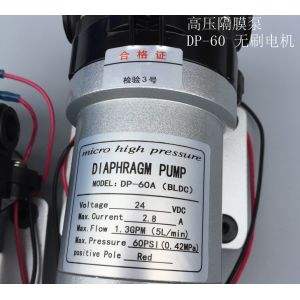 FLOWEXPRESS Electric High Pressure Diaphragm Pump DP Series