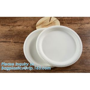 100% biodegradable and compostable sugarcane disposable paper plate 10"x8"oval