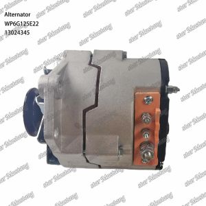 Alternator WP6G125E22 24V 13024345