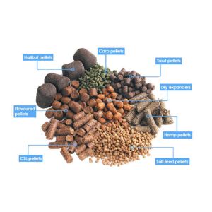 Floating Fish Feed Pellet Machine Animal Feed Pellet Machine 60-80KG/H