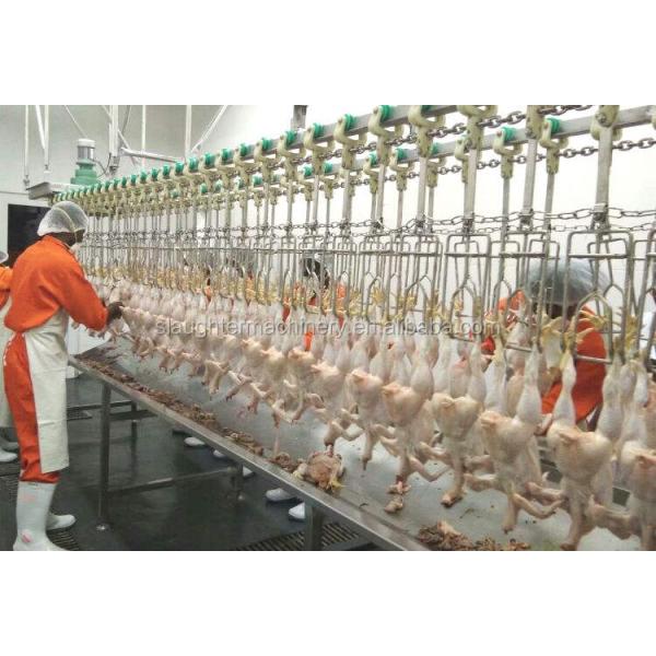 Semi-Automatic Evisceration System for Chicken poultry processing line Stainless steel 304 material Quality plucker