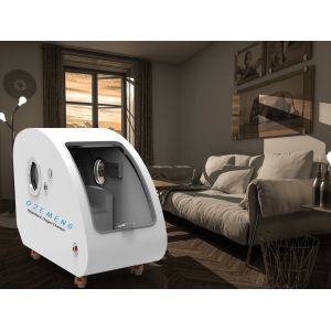 Wholesale Medical Grade Hyperbaric Oxygen Chamber for Healing , EMY01 Hard Type 1.5ATA Oxygen Therapy Equipment from china suppliers