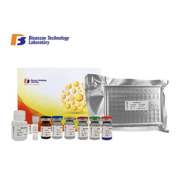 TPI1 Human ELISA Kit Custom 96 Wells Size 9.15ng/L Sensitivity With 2 Hours