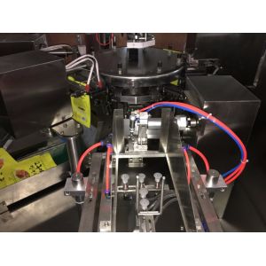 Automatic Premade Pouch Machine For Vegetable Fruit Frozen Fish Food 50Bags/Min