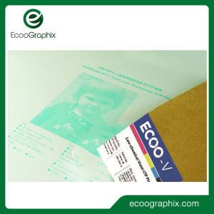 Environment Friendly Violet CTP Printing Plates 405nm Processless Thermal