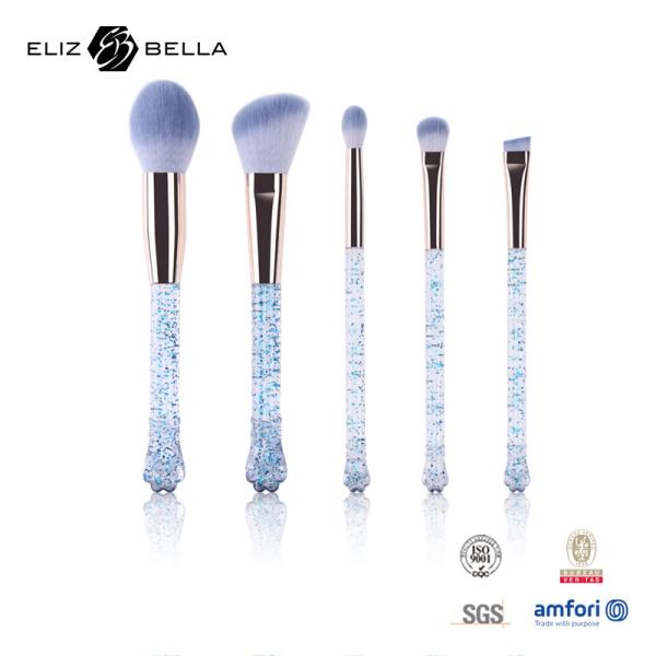 Quality 5pcs Transparent Plastic Handle Cosmetic Brush Set Customized Packag for sale