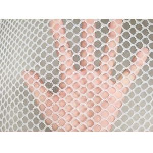 Wholesale poultry farming netting HDPE plastic poultry breeding mesh