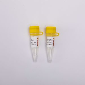 Gold Rt PCR Reverse Transcriptase R3001 2000U R3002 10000U