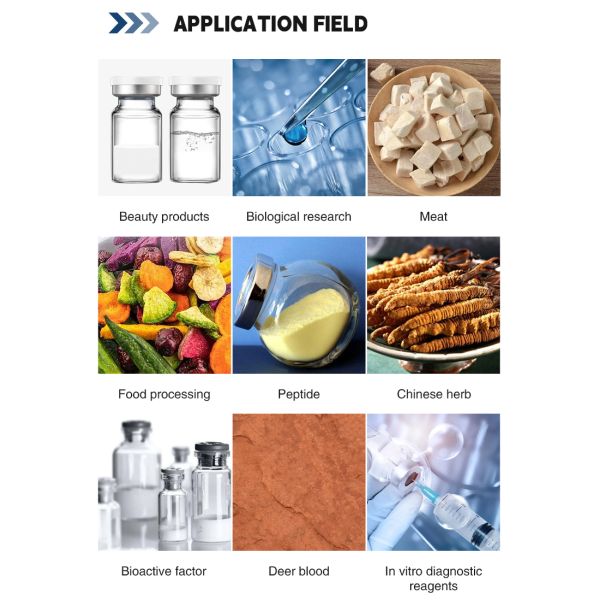 Customized Lab Scale Lyophilizer Laboratory Freeze Dryer Automatic Vacuum Lyophilizer