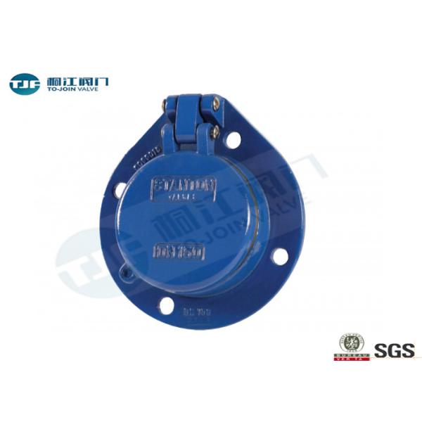 Quality Double Hinge Flap Type Non Return Valve DN80 - DN600 For Sea Water Applications for sale