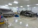 Automated Food Processing Line Fish Sorting Machine Shrimp Cleaning And Sorting