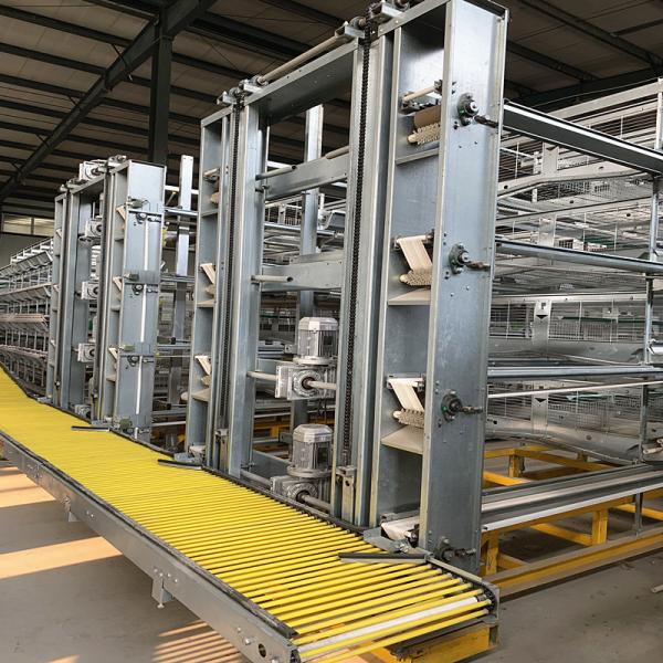 Poultry H Type 3 Tier 4 Tiers Laying Hens Layer Egg Chicken Cage