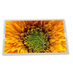 Wholesale EL240.128.45 WLED LCD Modules 4.8-Inch WLED TFT LCD Display Module with 240*128 Resolution from china suppliers