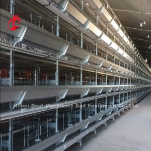 New Design H Type Automatic Chicken Cage System 96-200 Birds Capacity For