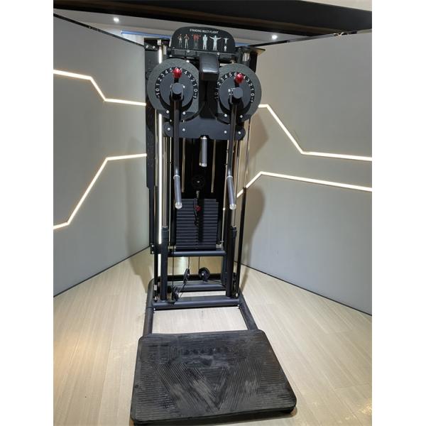 Multi Function Gym Equipment for Shoulder Press Back Extension and Standing Lateral Raise