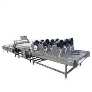 Industrial Fruit Vegetable Processing Machine Automatic 400KG 300-1000kg/h