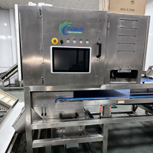 Wholesale Intelligent And Efficient Auricularia Sorter: Precise Sorting, New Choice For Improving Quality from china suppliers