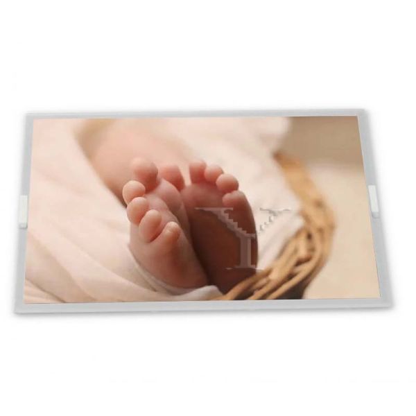 7 inch TFT LCD Display with Parallel RGB Interface 800*480 Resolution G070Y2-T01