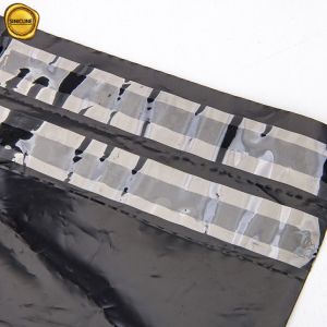 Eco-friendly 100% Compostable Plastic Mailing Bag with Custom Printing