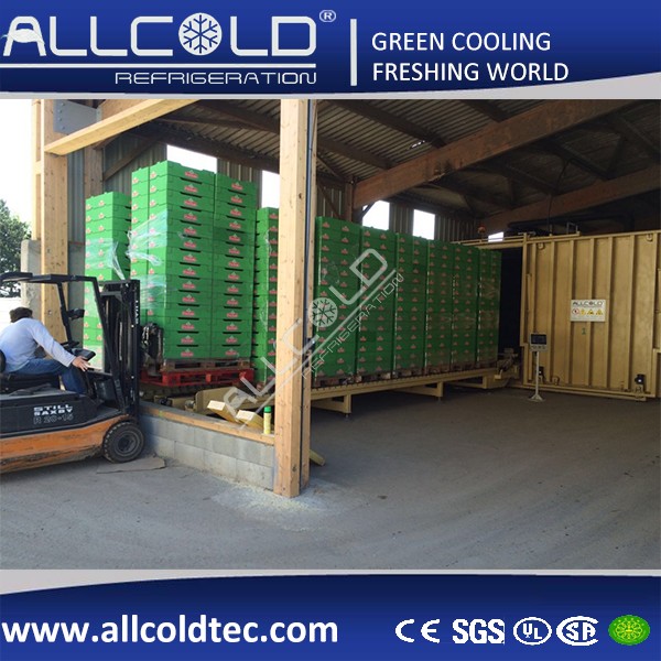 Fresh Produces Vacuum Cooing Machine