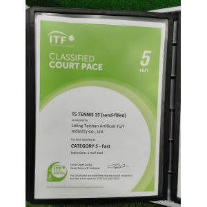 Leling Taishan Artificial Turf Industry Co.,Ltd. Certifications