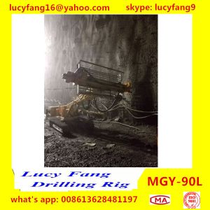 China Cheapest Popular Eifficient Multi-function Excavator Mounted DTH Hammer