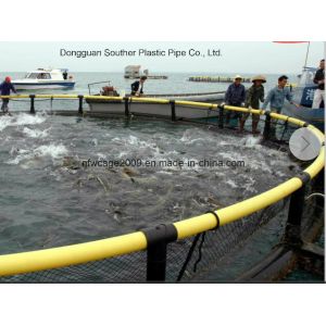 Commercial HDPE Floating Aquaculture Fish Cage with High Extensity and