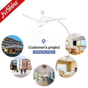 3000K Color Temperature Modern 3 Blade Ceiling Fan with DC 220V Motor and ABS