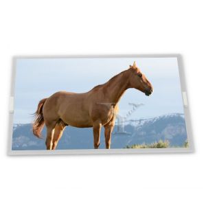 9 Inch Lcd Module TX23D38VM0CPA Lcd Touch Screen 800*400 Lcd Panel