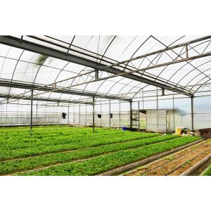 12-15 Meter Tunnel Width IGREEN Large Multi-Span Plastic Greenhouse for Plant