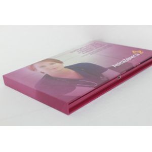 fair display Promotional LCD Video Brochure with sound modules / buttons