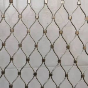 Square Hole Zoo Mesh 25*25-300*300 for Animal Enclosures and Fencing Systems