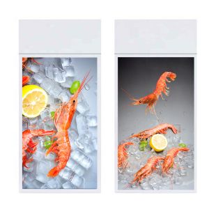 Hanging double sided lcd advertising screen with remote control software