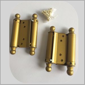 Steel Iron Metal Material Spring Loaded Hinges Double Action Small Size