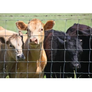 90cm Height Hot Dip Galvanized Farm Wire Fencing For Cattle