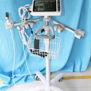 8 Inch Monitor ENT Surgical Instruments Medical Ent Endoscope Video Laryngoscope