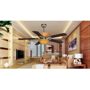 Ceiling Fan, Magnificent,Noble, with Lighting.