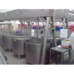 Multifunctional 1100W Soaking Machine , Durable Shrimp Processing Equipment